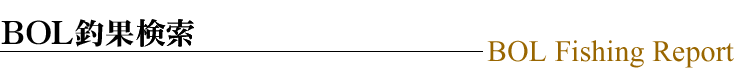 BOL��̸���