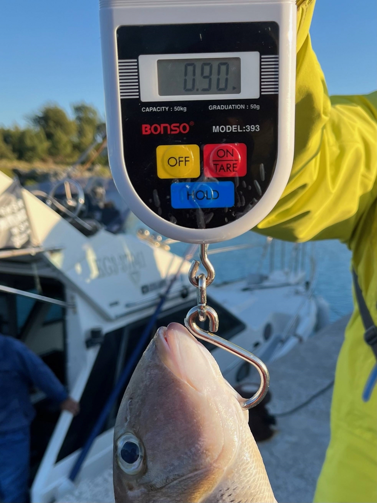 オンライン記録申請 | JGFA日本記録-申請と認定 | JGFA NPO法人