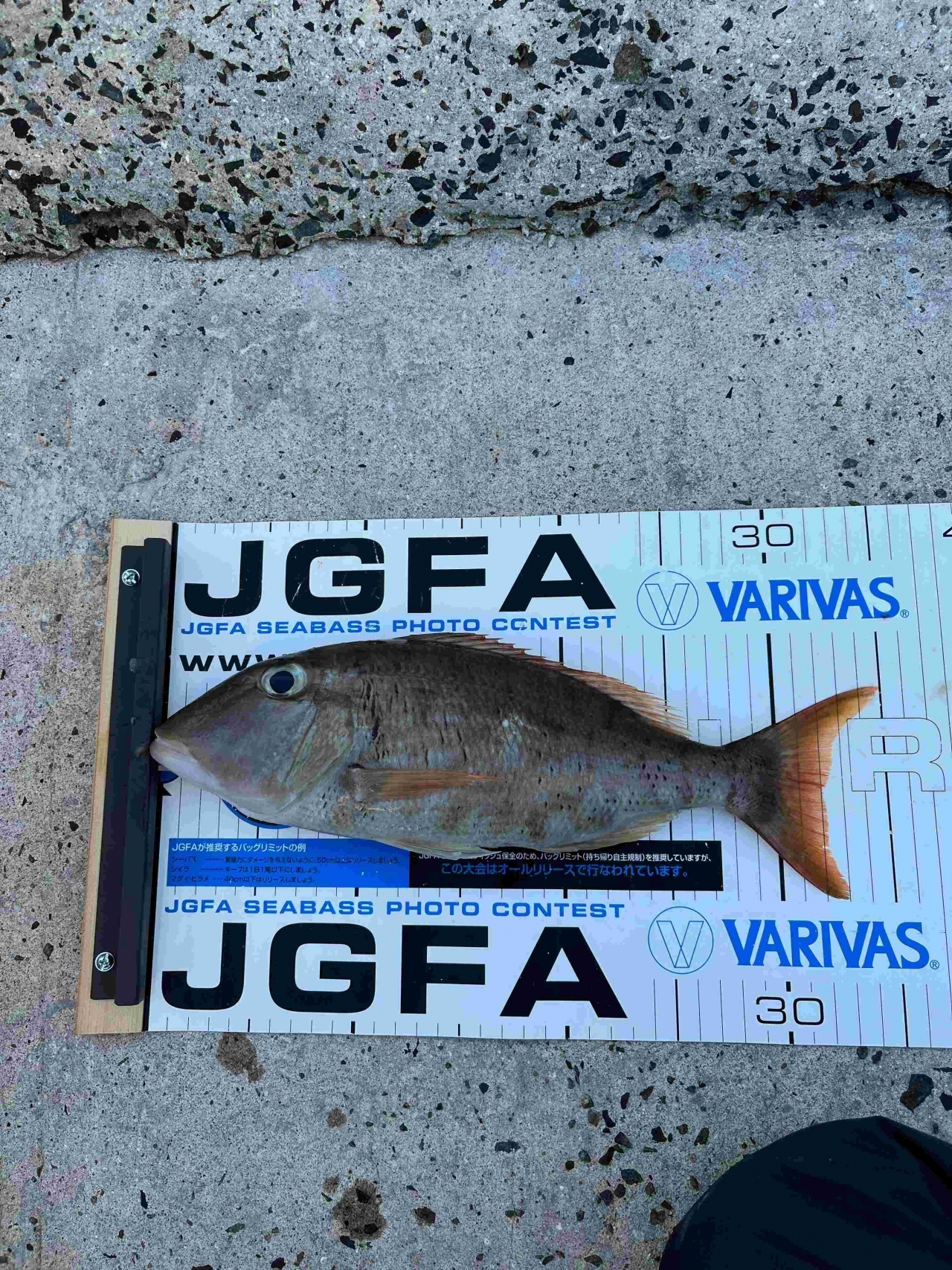 オンライン記録申請 | JGFA日本記録-申請と認定 | JGFA NPO法人