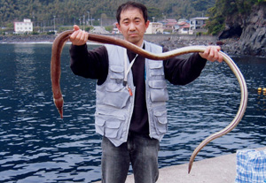 TAKASHI NISHINO