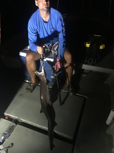 PHILLIP W. RICHMOND Jr.