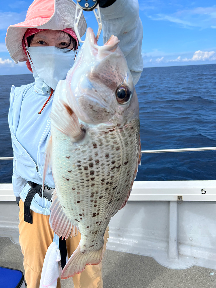 NORIKO ASANO
